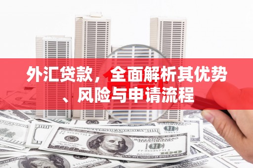 谢通门外汇贷款，全面解析其优势、风险与申请流程