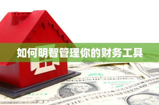 谢通门如何明智管理你的财务工具