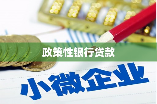 谢通门政策性银行贷款