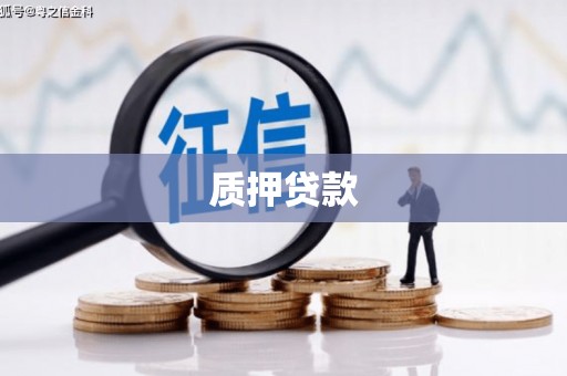 谢通门质押贷款