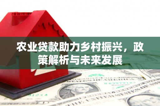 谢通门农业贷款助力乡村振兴，政策解析与未来发展