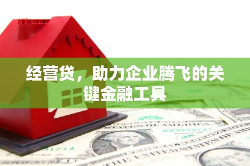 谢通门经营贷，助力企业腾飞的关键金融工具