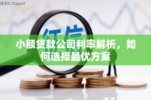 谢通门小额贷款公司利率解析，如何选择最优方案