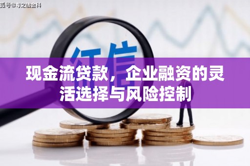 谢通门现金流贷款，企业融资的灵活选择与风险控制