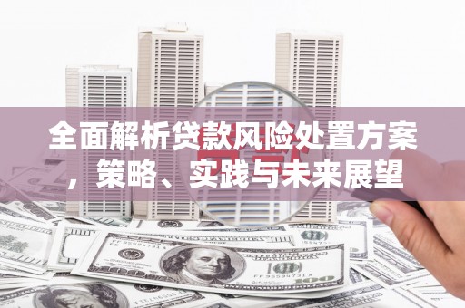 谢通门全面解析贷款风险处置方案，策略、实践与未来展望