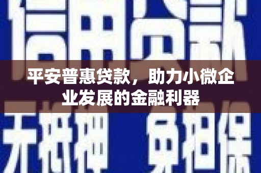 谢通门平安普惠贷款，助力小微企业发展的金融利器