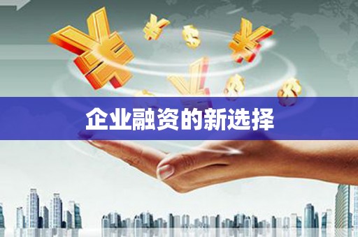谢通门企业融资的新选择