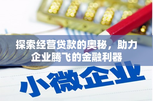 谢通门探索经营贷款的奥秘，助力企业腾飞的金融利器