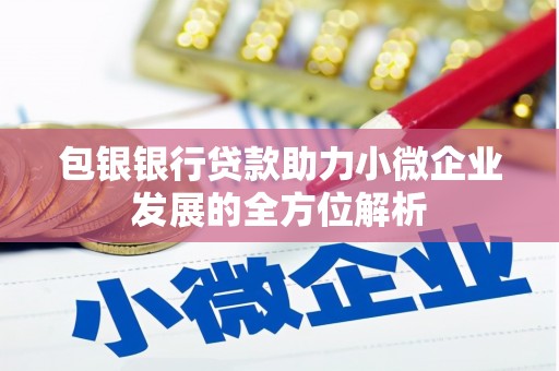 谢通门包银银行贷款助力小微企业发展的全方位解析