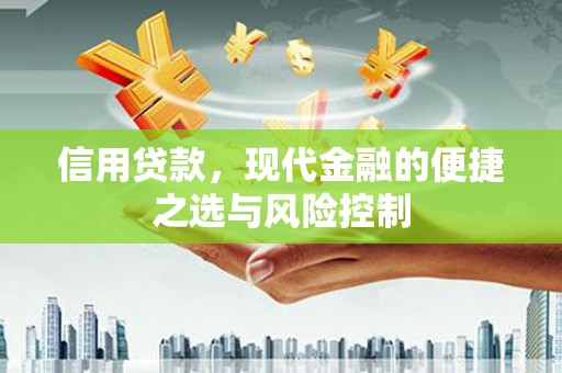 谢通门信用贷款，现代金融的便捷之选与风险控制