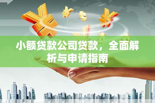 谢通门小额贷款公司贷款，全面解析与申请指南