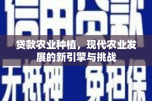 谢通门贷款农业种植，现代农业发展的新引擎与挑战