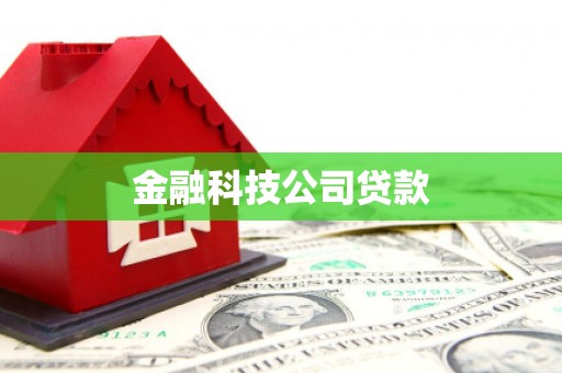 谢通门金融科技公司贷款