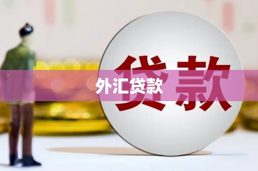 谢通门外汇贷款