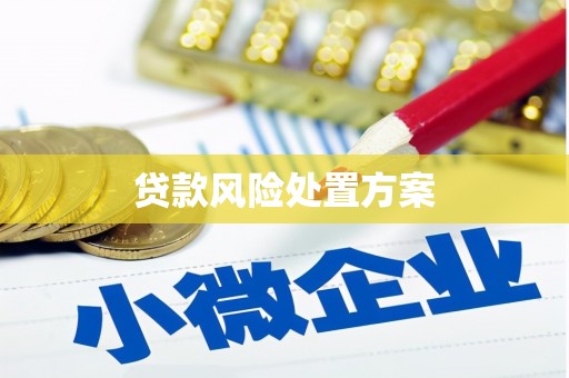 谢通门贷款风险处置方案