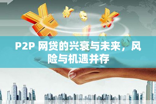 谢通门P2P 网贷的兴衰与未来，风险与机遇并存