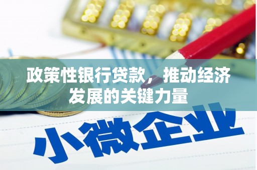 谢通门政策性银行贷款，推动经济发展的关键力量