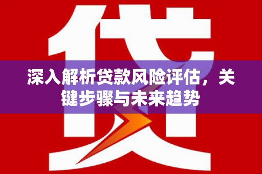 谢通门深入解析贷款风险评估，关键步骤与未来趋势