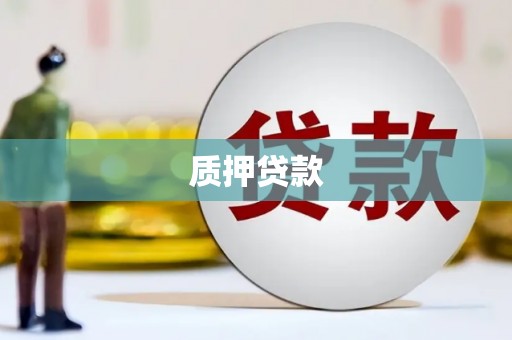 谢通门质押贷款