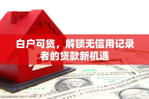 谢通门白户可贷，解锁无信用记录者的贷款新机遇