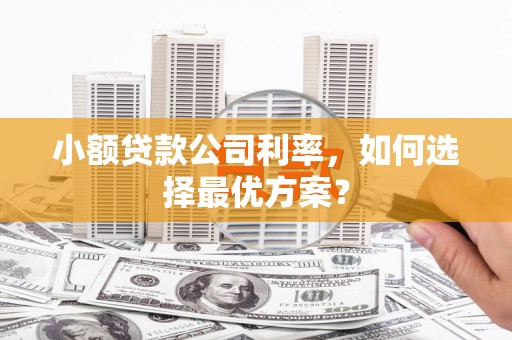 谢通门小额贷款公司利率，如何选择最优方案？