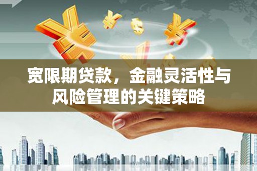 谢通门宽限期贷款，金融灵活性与风险管理的关键策略