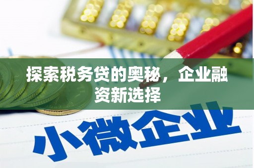 谢通门探索税务贷的奥秘，企业融资新选择