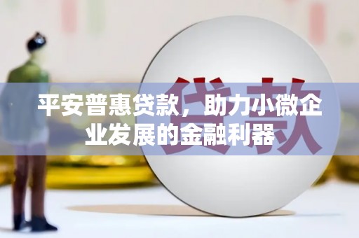 谢通门平安普惠贷款，助力小微企业发展的金融利器