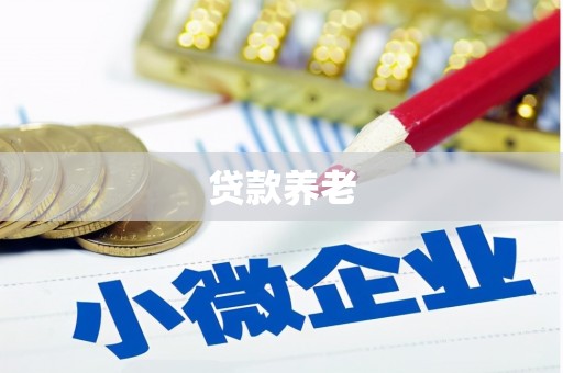 谢通门贷款养老