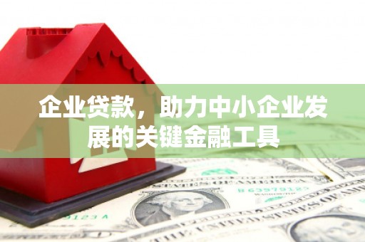 谢通门企业贷款，助力中小企业发展的关键金融工具