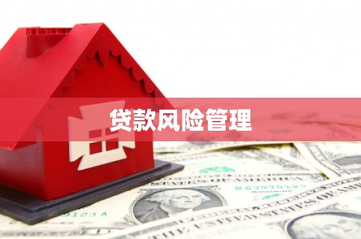 谢通门贷款风险管理