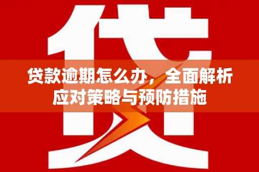 谢通门贷款逾期怎么办，全面解析应对策略与预防措施
