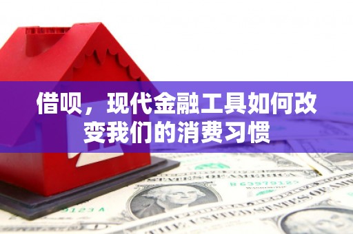谢通门借呗，现代金融工具如何改变我们的消费习惯