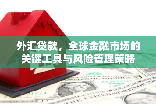 谢通门外汇贷款，全球金融市场的关键工具与风险管理策略