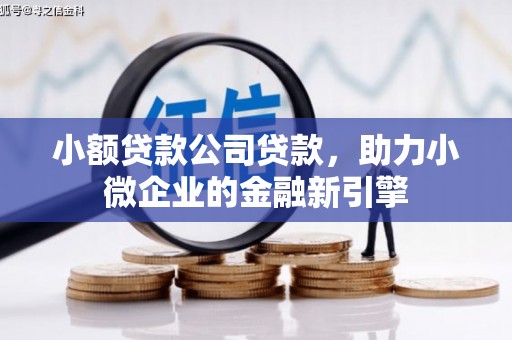 谢通门小额贷款公司贷款，助力小微企业的金融新引擎