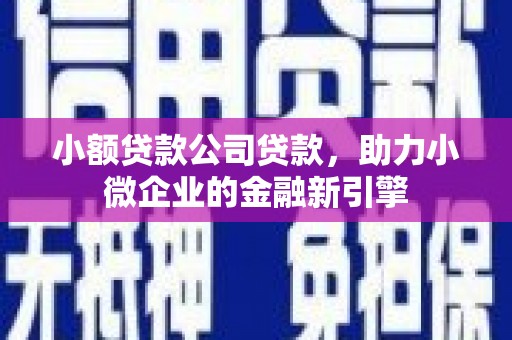 谢通门小额贷款公司贷款，助力小微企业的金融新引擎