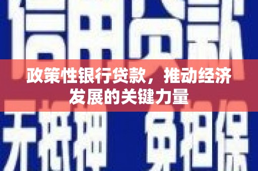 谢通门政策性银行贷款，推动经济发展的关键力量
