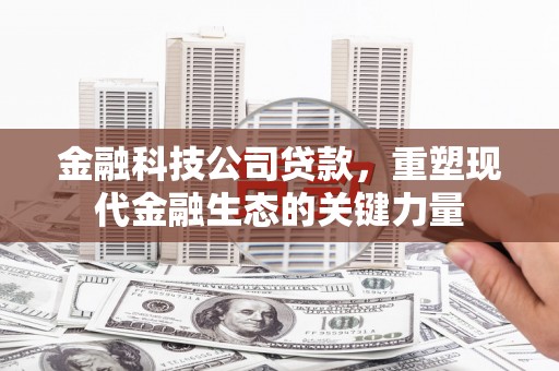 谢通门金融科技公司贷款，重塑现代金融生态的关键力量