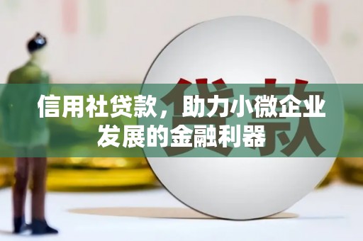 谢通门信用社贷款，助力小微企业发展的金融利器