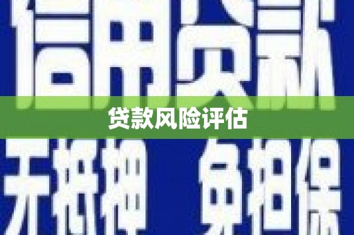 谢通门贷款风险评估