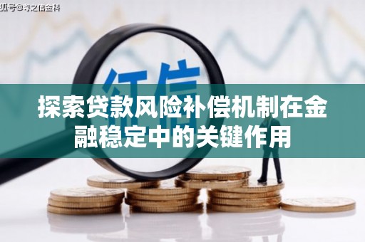谢通门探索贷款风险补偿机制在金融稳定中的关键作用