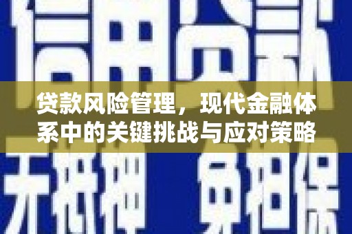 谢通门贷款风险管理，现代金融体系中的关键挑战与应对策略