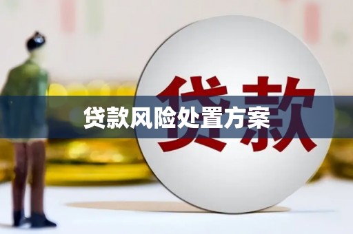 谢通门贷款风险处置方案