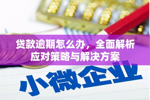 谢通门贷款逾期怎么办，全面解析应对策略与解决方案