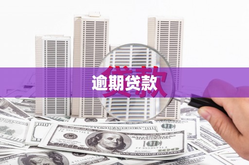 谢通门逾期贷款