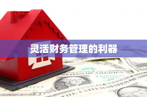 谢通门灵活财务管理的利器