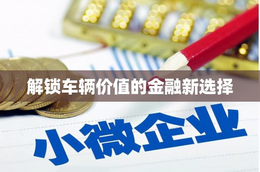 谢通门解锁车辆价值的金融新选择