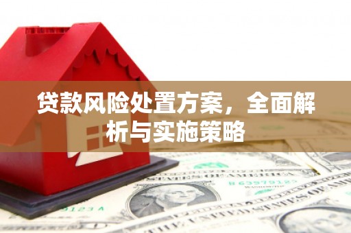 谢通门贷款风险处置方案，全面解析与实施策略