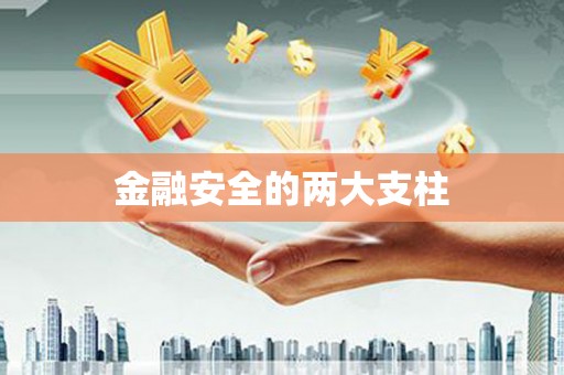 谢通门金融安全的两大支柱
